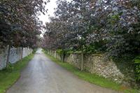 Cjp_2010_05_27_172210 (1).jpg